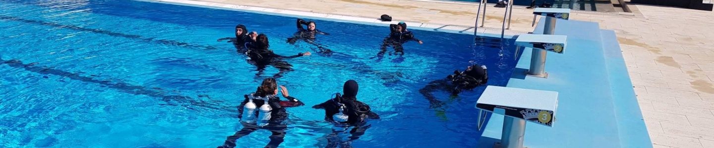 group of scuba divers floating on a pool for training