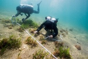 Divers monitoring the environment with transects and quadrats